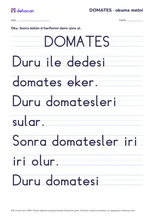 d sesi okuma metni DOMATES: dik temel yazıyla, yalnız öğrenilmiş seslerden cümleler