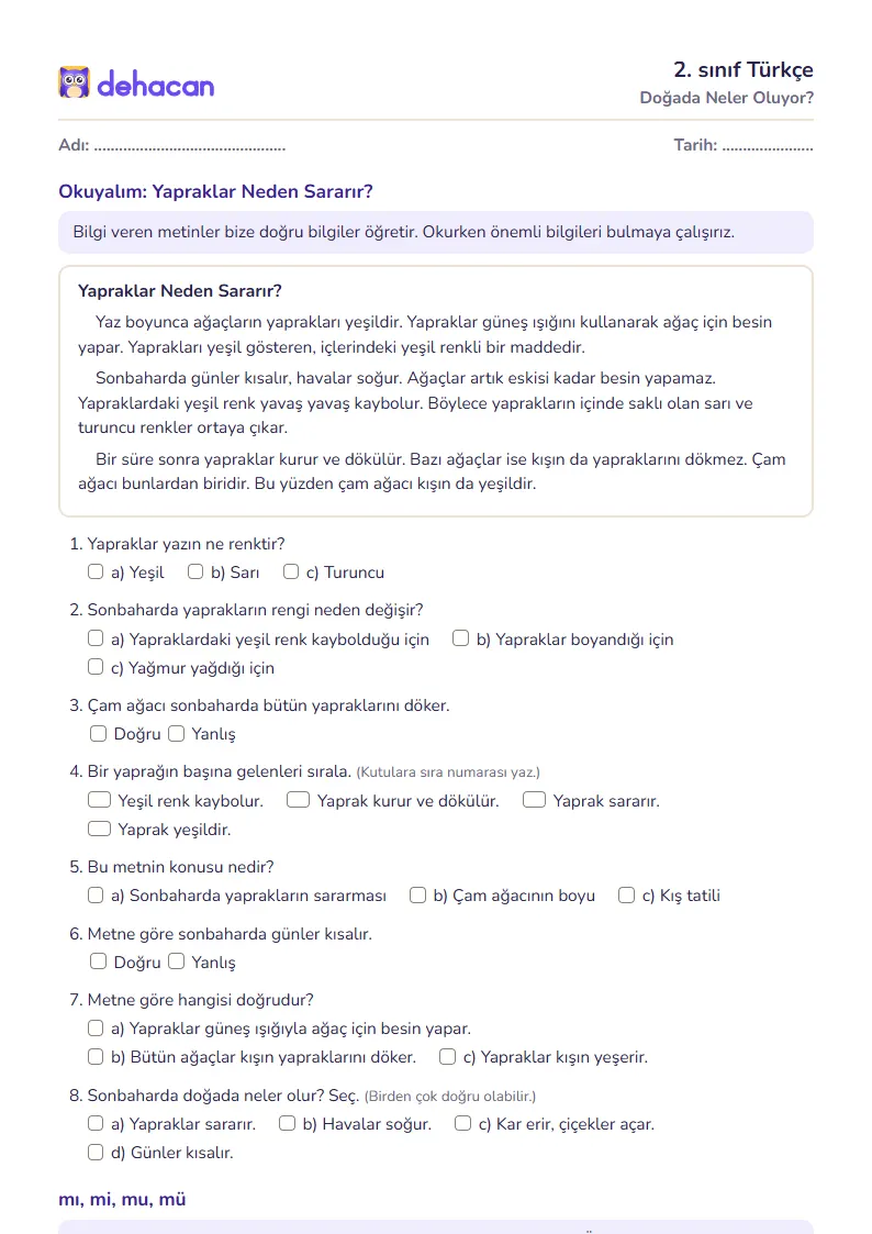 2. sınıf Türkçe çalışma kâğıdı: Doğada Neler Oluyor?, sorular ve cevap anahtarı
