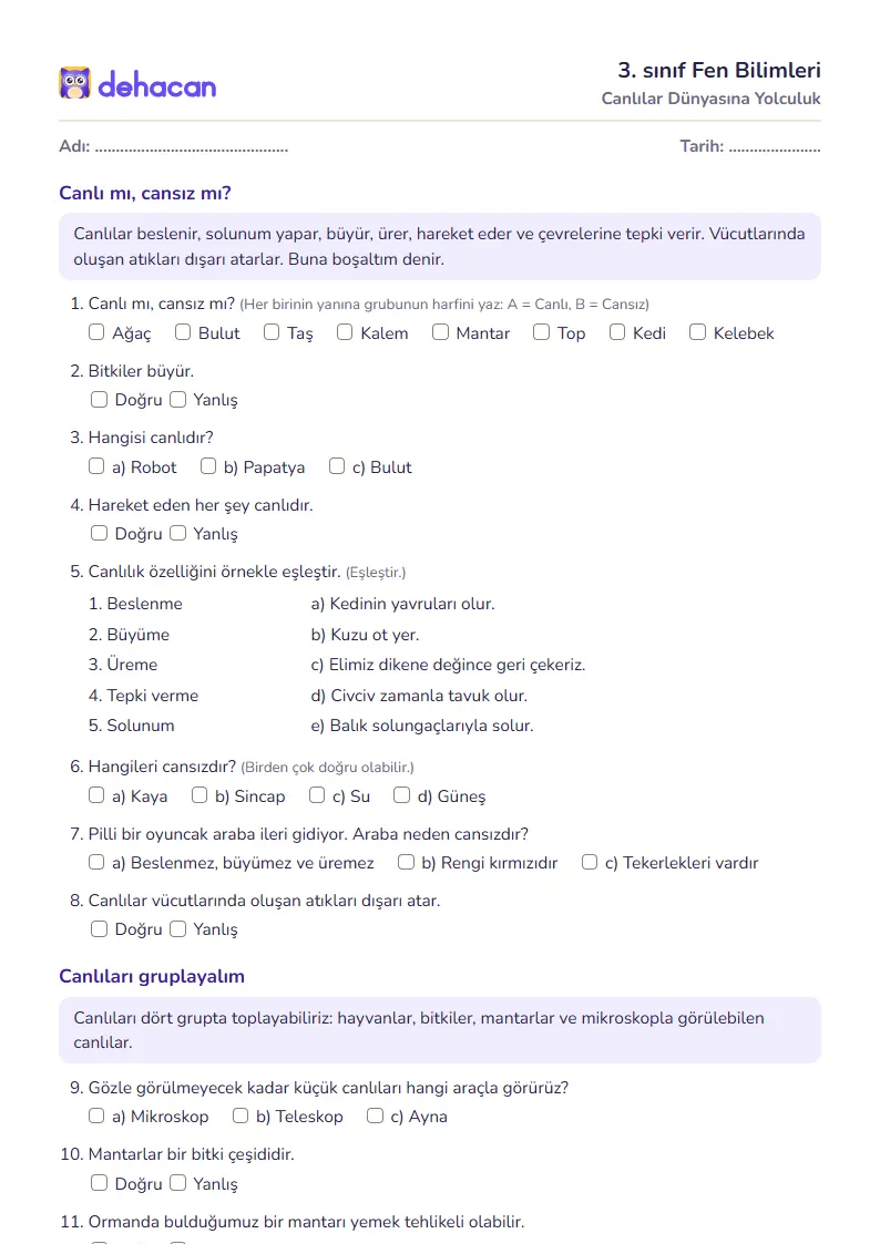 3. sınıf Fen Bilimleri çalışma kâğıdı: Canlılar Dünyasına Yolculuk, sorular ve cevap anahtarı