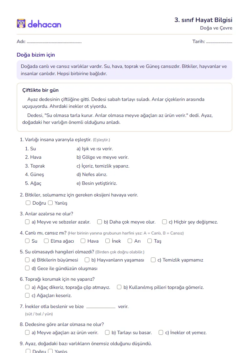 3. sınıf Hayat Bilgisi çalışma kâğıdı: Doğa ve Çevre, sorular ve cevap anahtarı