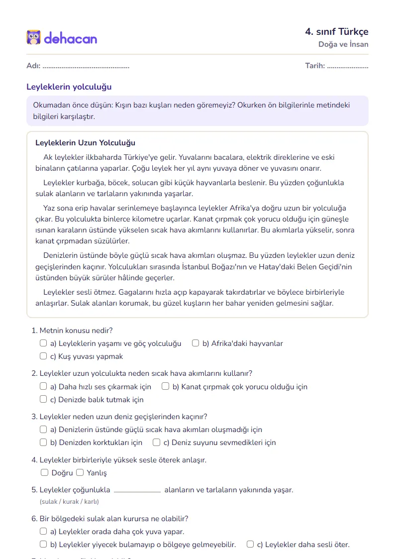 4. sınıf Türkçe çalışma kâğıdı: Doğa ve İnsan, sorular ve cevap anahtarı